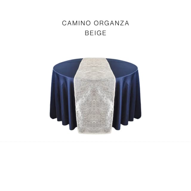 Camino organza beige